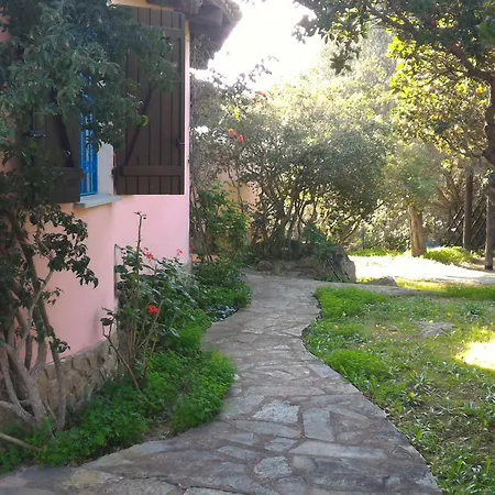 Drago * San Teodoro (Sardinia)
