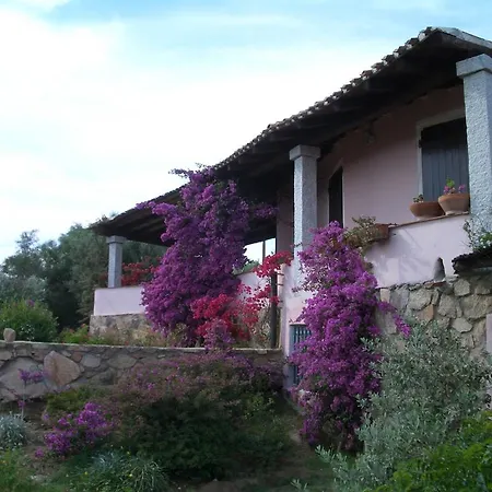 Apartment Drago San Teodoro (Sardinia)