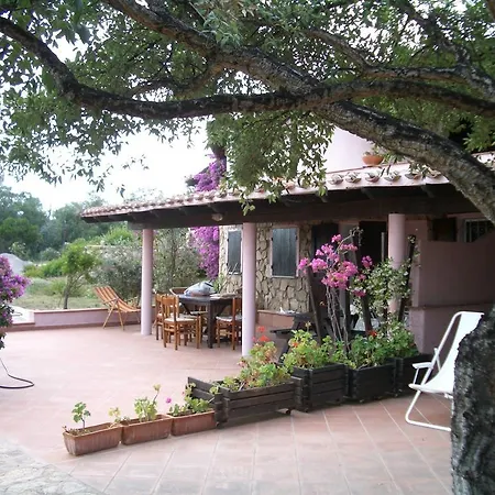 Drago Apartment San Teodoro (Sardinia)