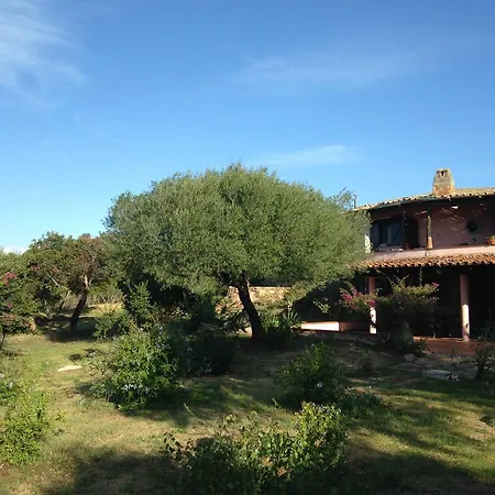 Apartment Drago San Teodoro (Sardinia)