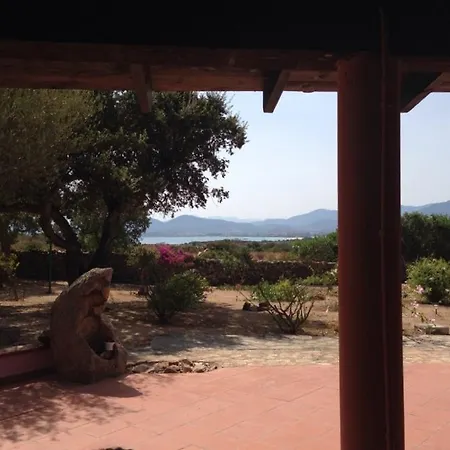 Drago San Teodoro (Sardinia)