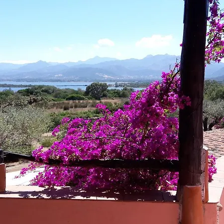 Drago Apartment San Teodoro (Sardinia)