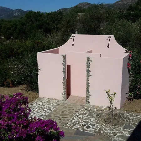 Drago San Teodoro (Sardinia)